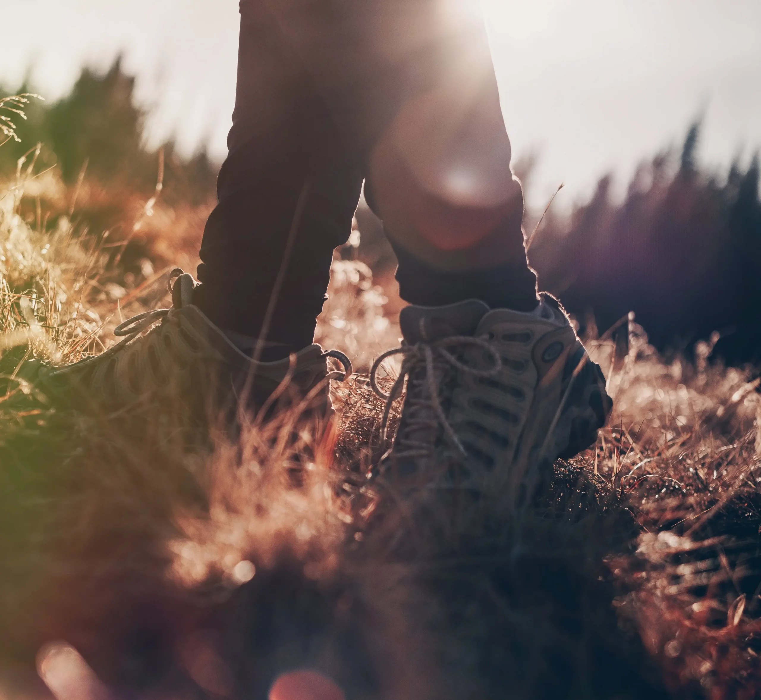 Wandern